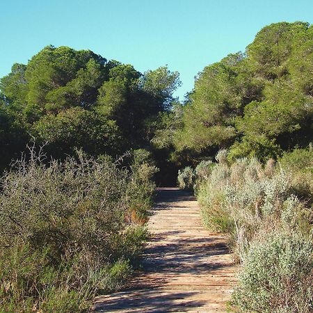 Albufera Dreams Nature Suites Valencia Exterior foto
